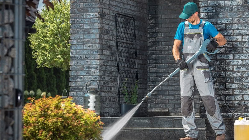 319309 alr pressure washing lawn service