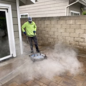 319336 kc power clean