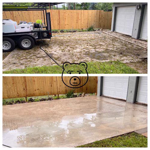 319375 grizzly power wash