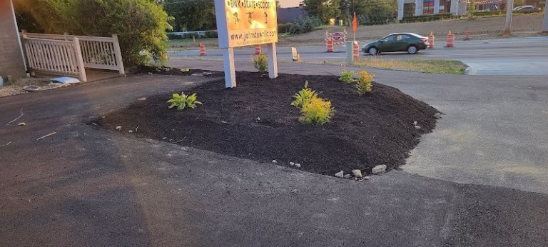 319563 wishwash 768x346