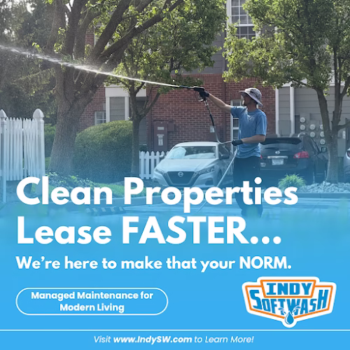 319651 indy soft wash