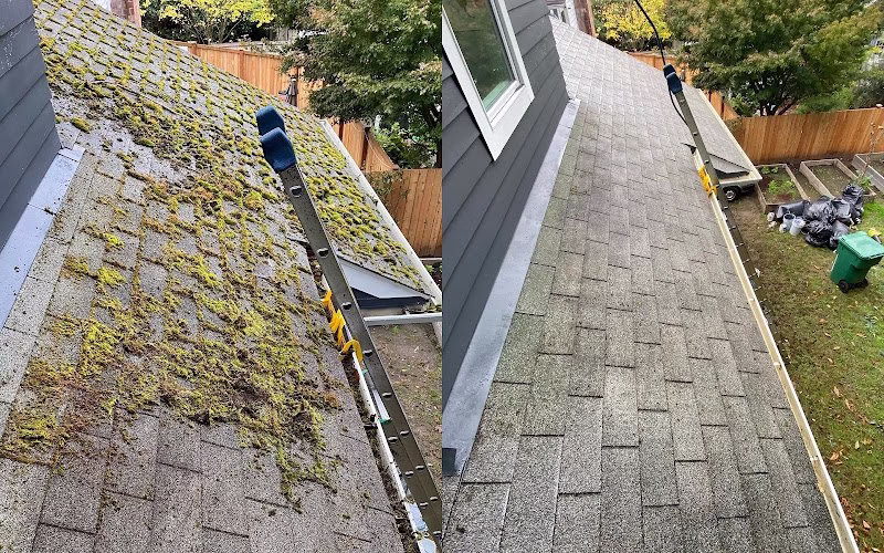 319701 rojo moss removal and power washing llc