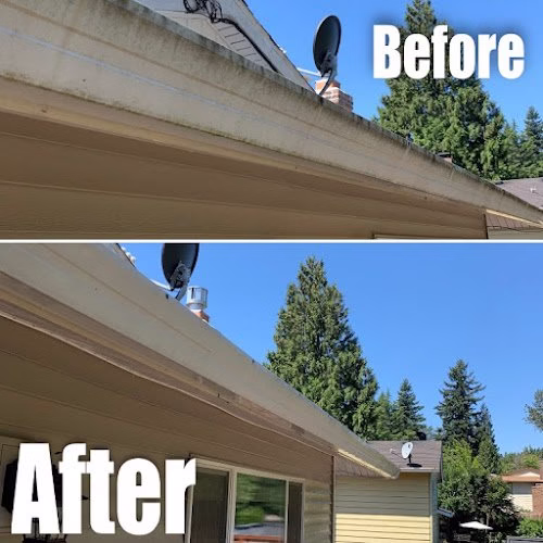 319911 expert property maintenance