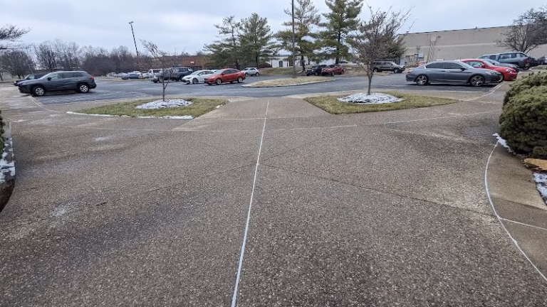 319986 cardinal pro softwash llc 768x432