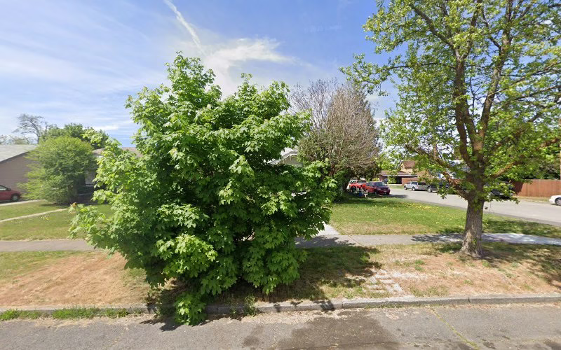 320366 need a helping hand