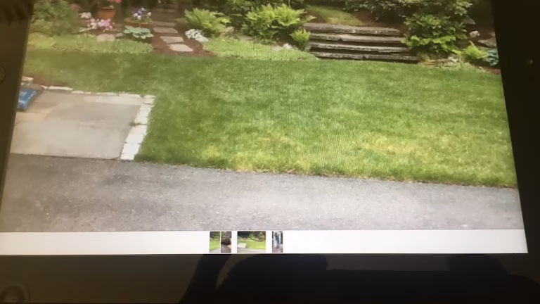 321121 tru green handyman landscaping services 768x432