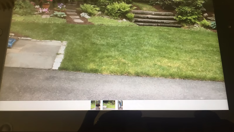 321121 tru green handyman landscaping services