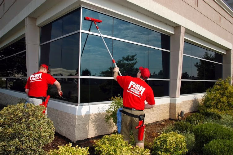 322438 fish window cleaning 7