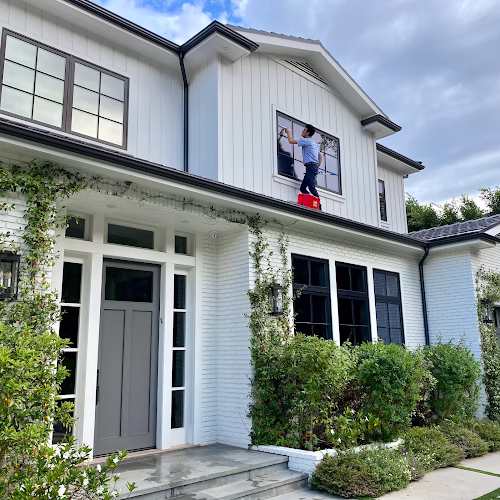 322853 trips window services