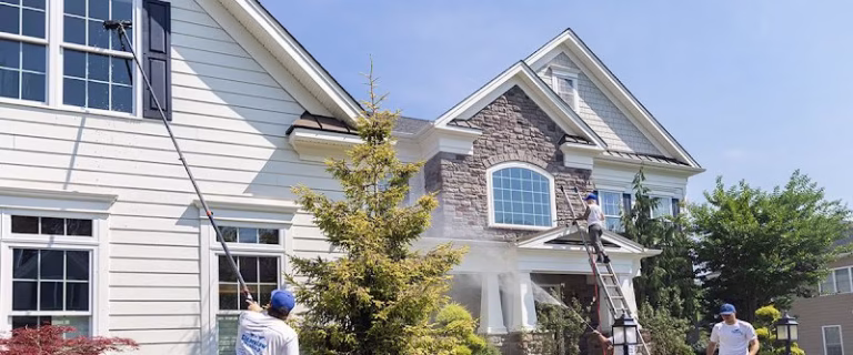 323025 bright view window washing 768x320