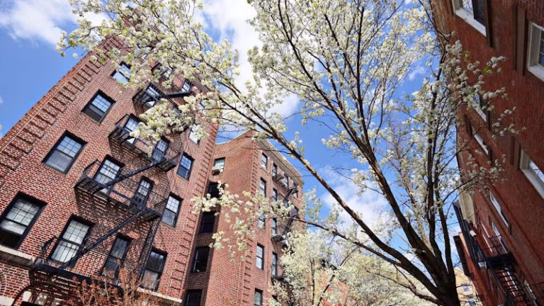 325252 dlss property management nyc 768x432