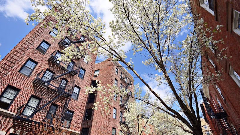 325252 dlss property management nyc