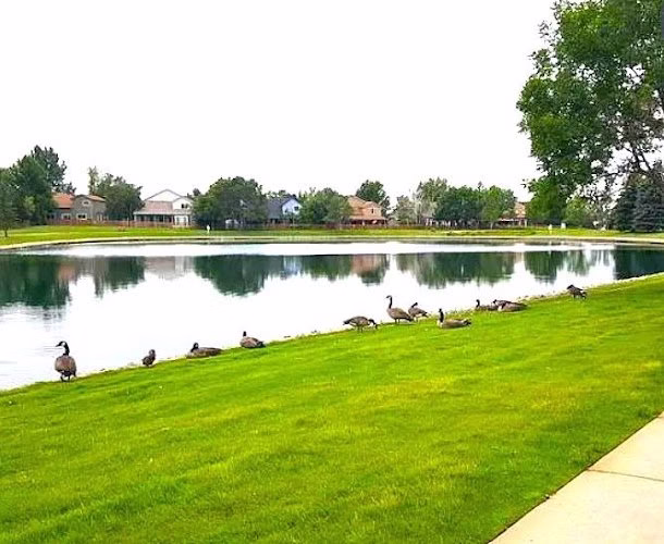 328563 bv realty management 1