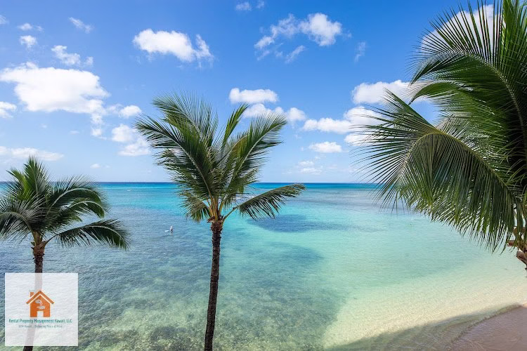 328779 rental property management hawaii llc 1