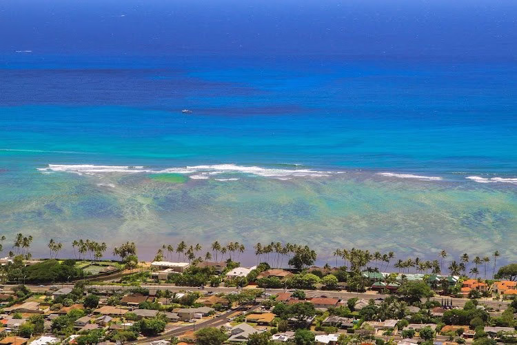 328841 sachi hawaii 1