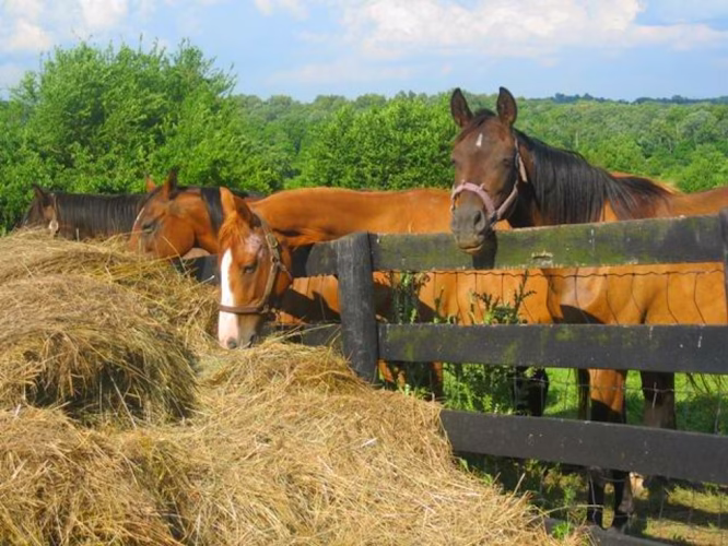 329039 cold harbor realty 1