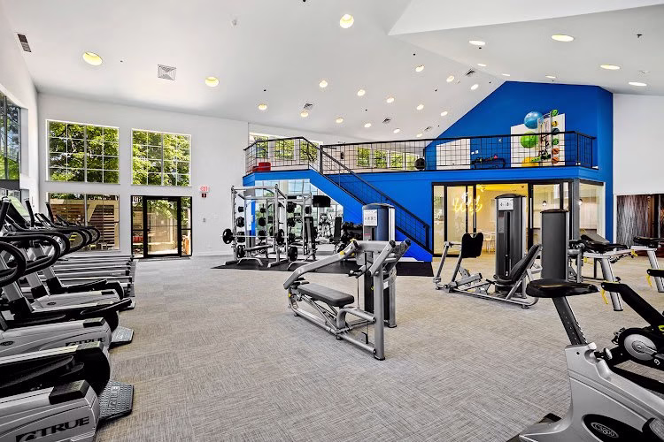 331071 trinity property consultants