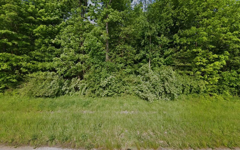 331458 rkjm property management 1