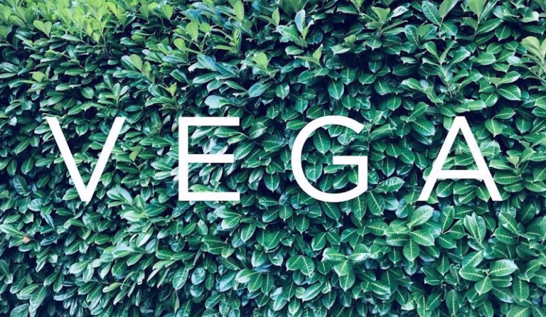 334214 vega civil engineering llc 1 768x446