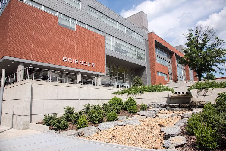 336635 element design