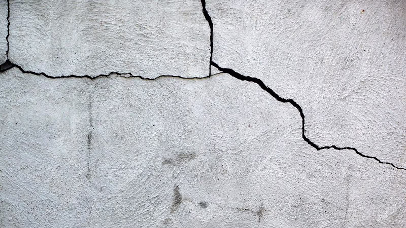 336637 the dwyer company inc