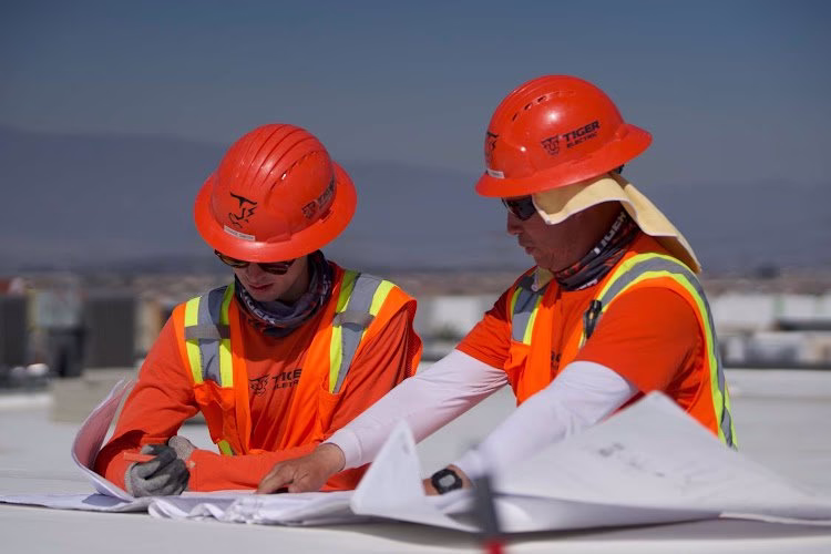 347134 tiger electric