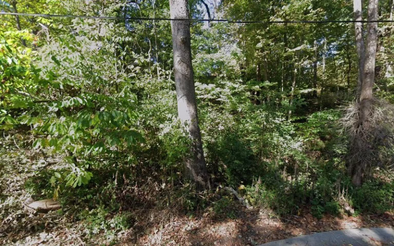 347519 langenbach electric 1 768x480