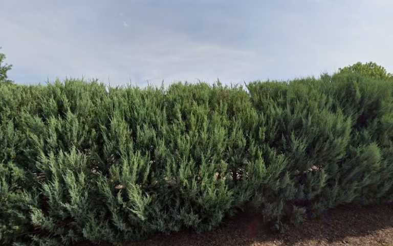 347640 excellence intact lincoln electrician 768x480