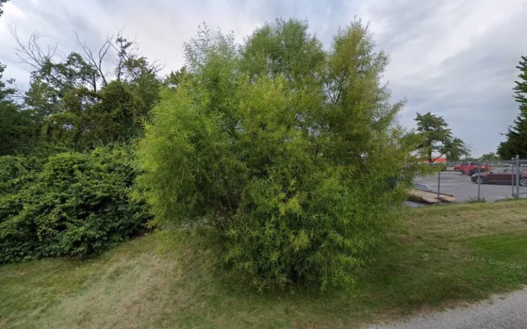 347797 hoagland electric inc 768x480