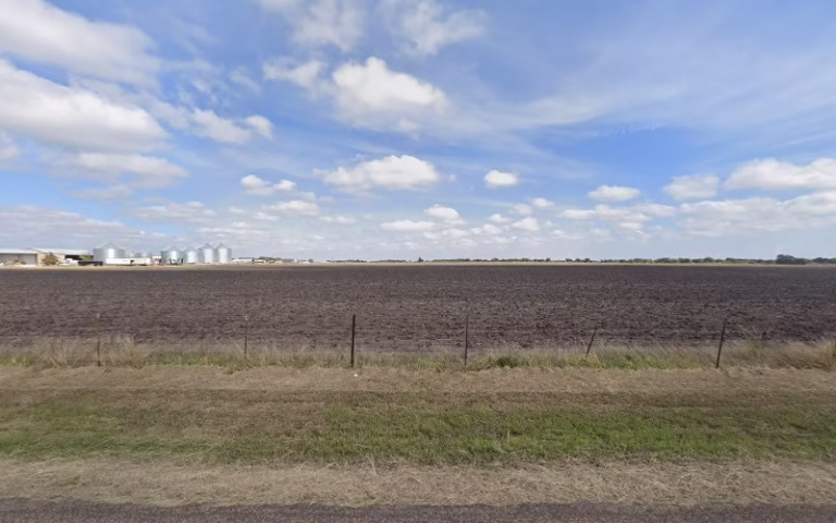 348358 m p electric 768x480