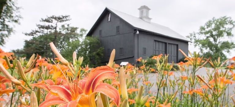 352272 l p architecture 768x352