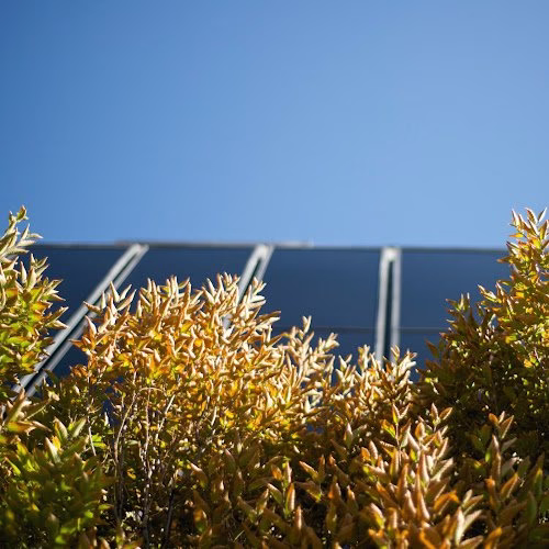 352552 samuel j brady architects