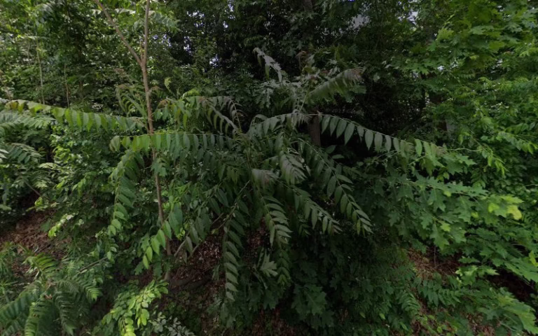 352961 anthony j boisvert architects 1 768x480